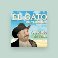 El Gato de Chihuahua