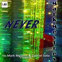 Never (Original Mix) [Original Mix]