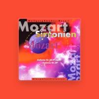Die Brandenburger Symphoniker