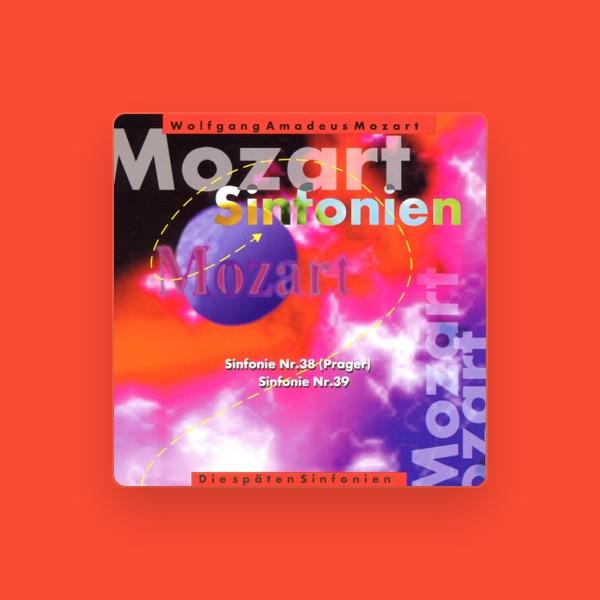 Die Brandenburger Symphoniker