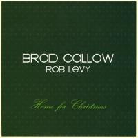 Carol of the Bells