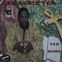 Who Gave the Order (Remix) [feat. Errol Massive]