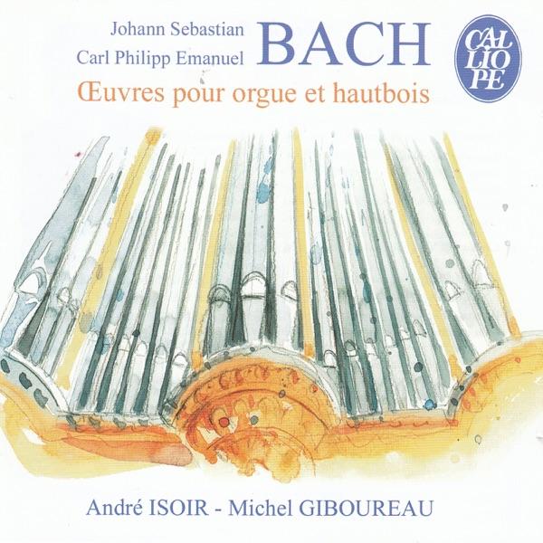 Oboe Sonata in G Minor, BWV 1030a: I. Andante