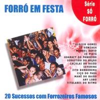 Xaxadinho Das Alagoas