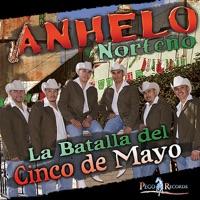 Feliz Navidad / Feliz Año Nuevo