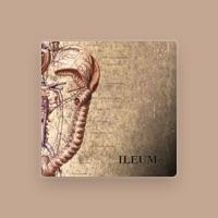 Ileum