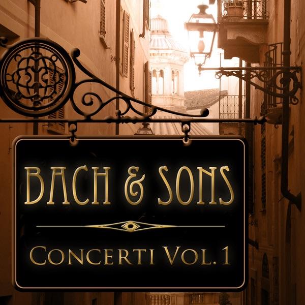 Brandenburg Concerto No. 6 in B-Flat Major, BWV 1051: II. Adagio ma non troppo
