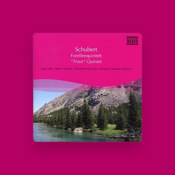 Budapest Schubert Ensemble