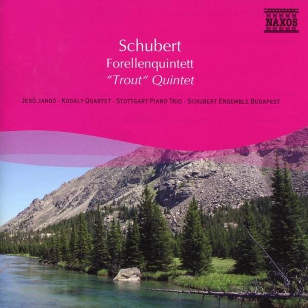 Wind Octet in F Major, D. 72: II. Allegro