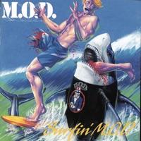 Surfin' U.S.A.