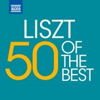 Piano Concerto No. 1 in E flat major, S124/R455: Allegro marziale animato -
