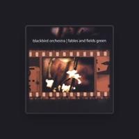 Blackbird Orchestra