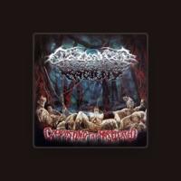 Colonize the Rotting