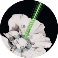 Aida (Baby Ford Remix)