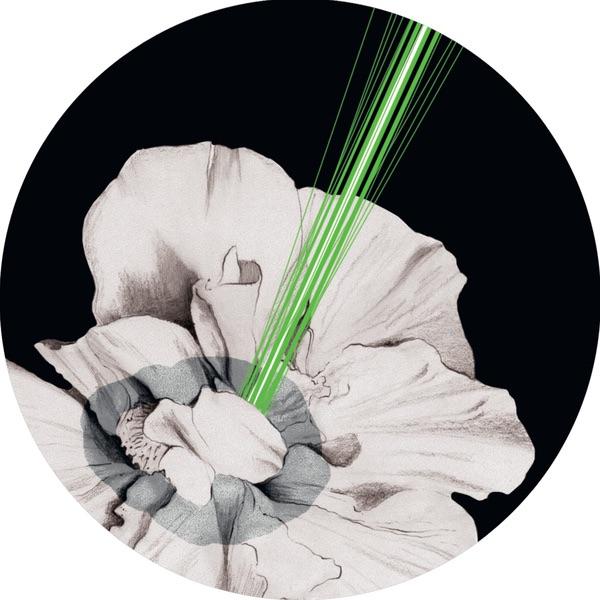 Innervoice (Isolée Remix)