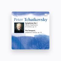 Saint Petersburg Concert Orchestra
