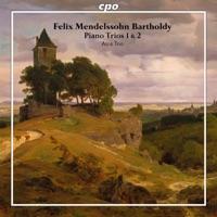 Piano Trio No. 1 in D Minor, Op. 49, MWV Q29: II. Andante con moto tranquillo