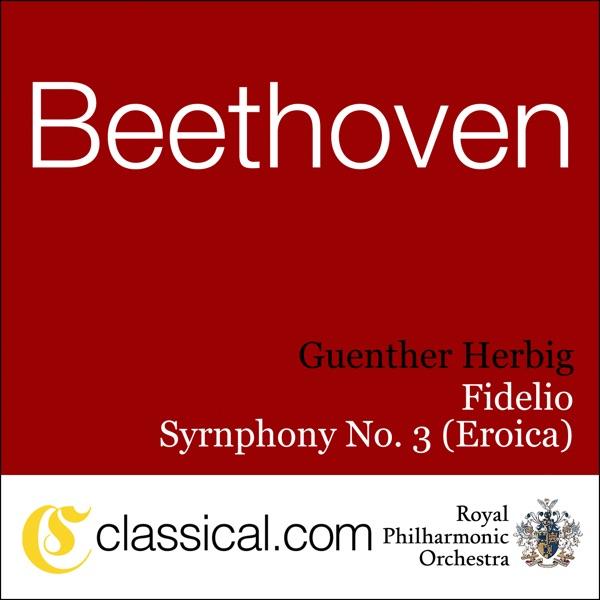 Symphony No. 5 In C Minor, Op. 67 (Beethoven's Fifth) - Allegro Con Brio
