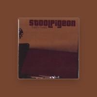 Stoolpigeon