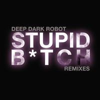 Stupid Bitch (Swing - Brooker T Remix)