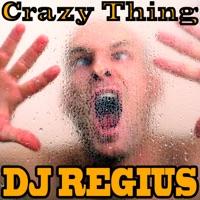 Crazy Thing (Vocal Mix)