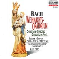 Christmas Oratorio, BWV 248: Part VI: Choral: Nun seid ihr wohl gerochen… (Chorus)