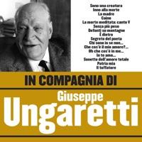 Il Tuffatore