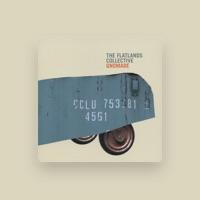 The Flatlands Collective