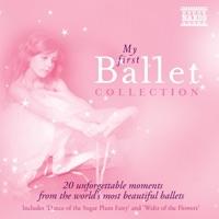 The Nutcracker Suite, Op. 71a: VII. Dance of the Reeds