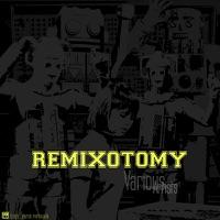 The Flux (Alkan Remix)