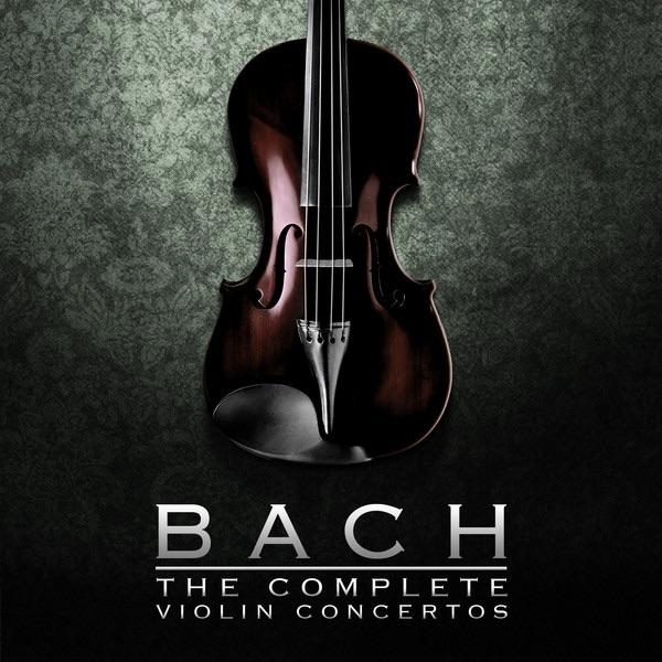 Concerto in A Minor for Flute, Violin, Harpsichord and Orchestra, BWV 1044: II. Adagio Ma non Tanto e Dolce