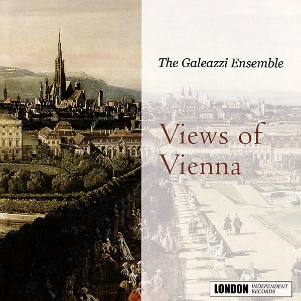 Flute Quartet in G Minor, Op. 19, No. 2: I. Allegro Moderato