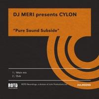 Pure Sound Subside (Cylon Dub)