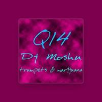 DJ Moshu