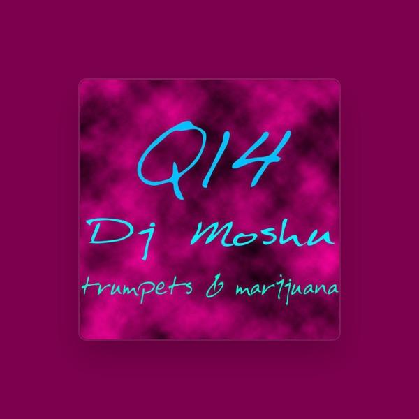 DJ Moshu