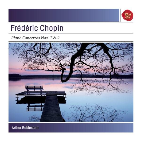 Piano Concerto No. 1 in E Minor, Op. 11: Romance