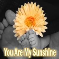 You Are My Sunshine