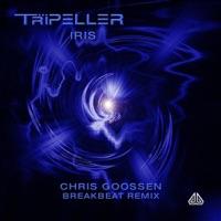 Iris (Chris Goossen breakbeat remix)