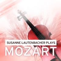 Divertimento in E-Flat Major for String Trio, K. 563: V. Menuetto: Allegretto
