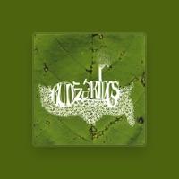 Kudzu Kings