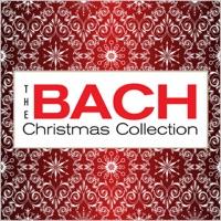 Sonata for Flute and Basso Continuo In E Major, BWV 1035: IV. Allegro Assai