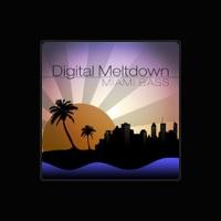 Digital Meltdown