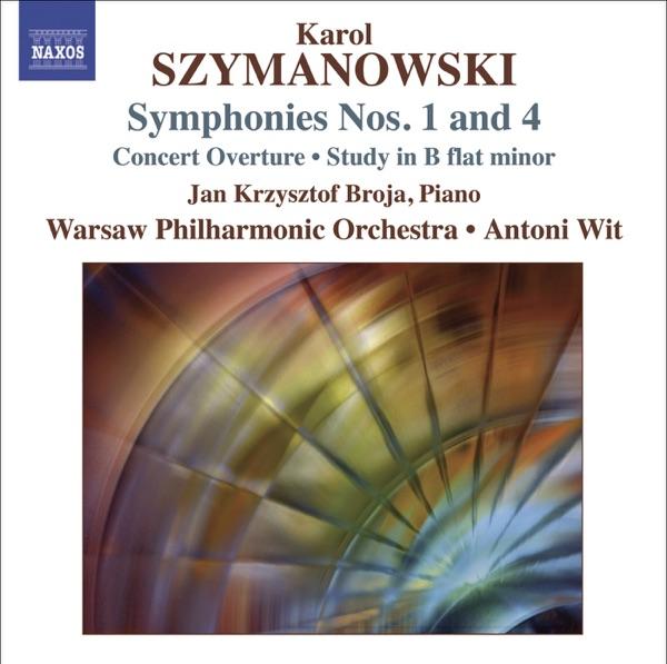 Symphony No. 4, Op. 60, "Symphonie Concertante": II. Andante Molto Sostenuto