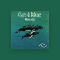 Whales Songs