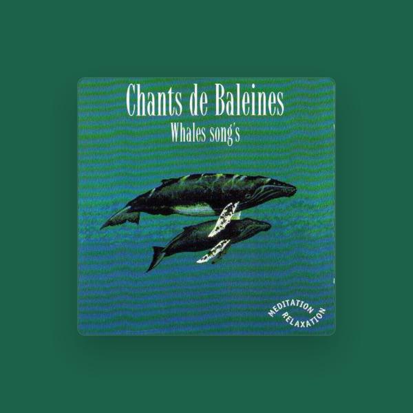 Whales Songs