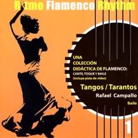 Tangos Sin Cante