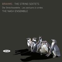 String Sextet No. 1 in B Flat Major, Op. 18: II. Andante Ma Moderato