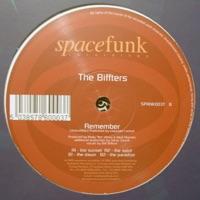 Remember (The Paradise Mix)