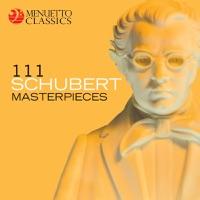 String Quintet in C Major, D. 956 (Op. 163): IV. Allegretto