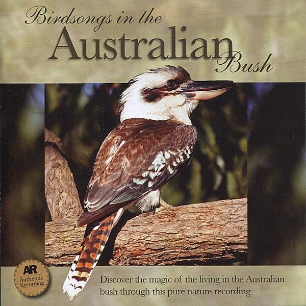 Striated Pardalote, Weebill, Olive-Backed Oriole, White-Throated Gerygone, Black-Throated Finch and Rufous Whistler